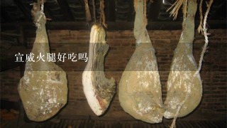 宣威火腿好吃吗 宣威火腿好吃吗