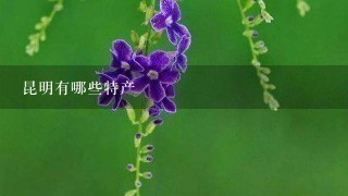 昆明有哪些特产 昆明有哪些特产