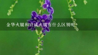 金华火腿和宣威火腿有什么区别呢? 金华火腿和宣威火腿有什么区别呢?