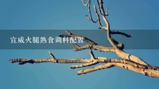宣威火腿熟食调料配置 宣威火腿熟食调料配置