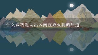 什么调料能调出云南宣威火腿的味道 什么调料能调出云南宣威火腿的味道