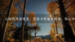 云南的风景优美,美食小吃也有很多,你心中的云南6 云南的风景优美,美食小吃也有很多,你心中的云南6