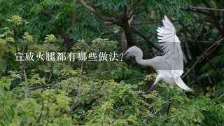 宣威火腿都有哪些做法? 宣威火腿都有哪些做法?