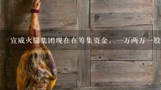 宣威火腿集团现在在筹集资金,一万两万一股,买两万有<br/>1、6万的期权股,然后有2万商城购物,然后公司打 宣威火腿集团现在在筹集资金,一万两万一股,买两万有<br/>1、6万的期权股,然后有2万商城购物,然后公司打