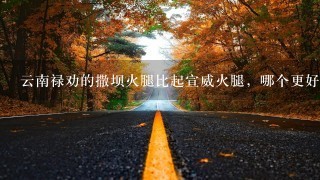 云南禄劝的撒坝火腿比起宣威火腿,哪个更好吃一点? 云南禄劝的撒坝火腿比起宣威火腿,哪个更好吃一点?