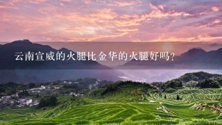 云南宣威的火腿比金华的火腿好吗? 云南宣威的火腿比金华的火腿好吗?