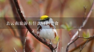 去云南旅游有什么特色美食 去云南旅游有什么特色美食