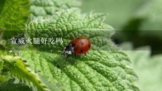 宣威火腿好吃吗 宣威火腿好吃吗