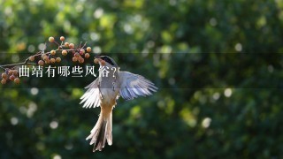 曲靖有哪些风俗? 曲靖有哪些风俗?