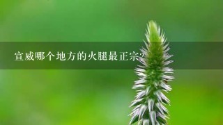 宣威哪个地方的火腿最正宗? 宣威哪个地方的火腿最正宗?