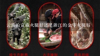 云南的宣威火腿好还是浙江的金华火腿好 云南的宣威火腿好还是浙江的金华火腿好