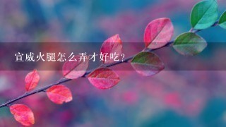 宣威火腿怎么弄才好吃? 宣威火腿怎么弄才好吃?