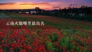 云南火腿哪里最出名 云南火腿哪里最出名