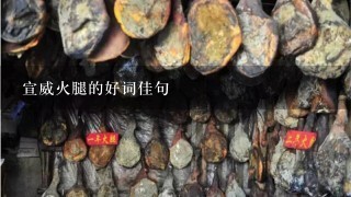 宣威火腿的好词佳句 宣威火腿的好词佳句