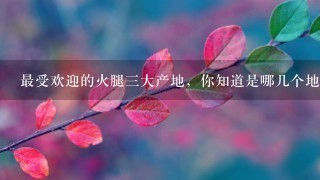 最受欢迎的火腿三大产地,你知道是哪几个地方么?一 最受欢迎的火腿三大产地,你知道是哪几个地方么?一