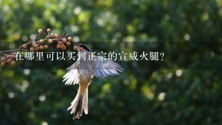 在哪里可以买到正宗的宣威火腿? 在哪里可以买到正宗的宣威火腿?