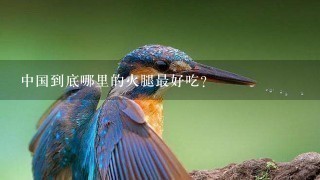 中国到底哪里的火腿最好吃? 中国到底哪里的火腿最好吃?