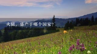 火腿,盛产于哪个国家? 火腿,盛产于哪个国家?