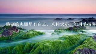 腌制的火腿里有白点,米粒大小,能用手指碾碎,是虫 腌制的火腿里有白点,米粒大小,能用手指碾碎,是虫