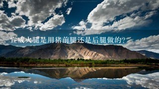 宣威火腿是用猪前腿还是后腿做的? 宣威火腿是用猪前腿还是后腿做的?