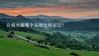 宣威火腿哪个品牌比较正宗? 宣威火腿哪个品牌比较正宗?