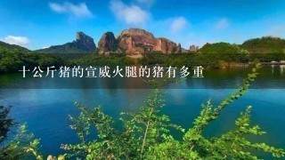 十公斤猪的宣威火腿的猪有多重 十公斤猪的宣威火腿的猪有多重