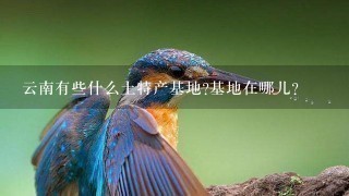 云南有些什么土特产基地?基地在哪儿? 云南有些什么土特产基地?基地在哪儿?