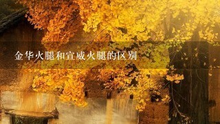 金华火腿和宣威火腿的区别 金华火腿和宣威火腿的区别