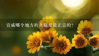 宣威哪个地方的火腿是最正宗的? 宣威哪个地方的火腿是最正宗的?