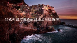 宣威火腿是用猪前腿还是后腿做的? 宣威火腿是用猪前腿还是后腿做的?