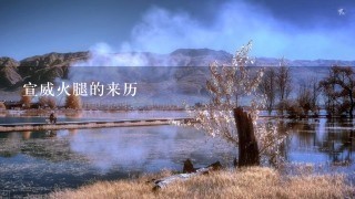 宣威火腿的来历 宣威火腿的来历