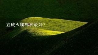 宣威火腿哪种最好? 宣威火腿哪种最好?