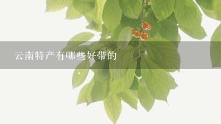 云南特产有哪些好带的 云南特产有哪些好带的