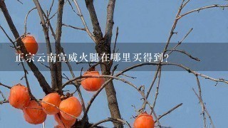 正宗云南宣威火腿在哪里买得到? 正宗云南宣威火腿在哪里买得到?