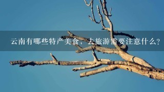 云南有哪些特产美食,去旅游需要注意什么? 云南有哪些特产美食,去旅游需要注意什么?