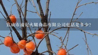 宣威市浦记火腿食品有限公司电话是多少? 宣威市浦记火腿食品有限公司电话是多少?