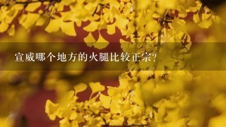 宣威哪个地方的火腿比较正宗? 宣威哪个地方的火腿比较正宗?