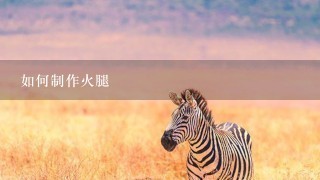 如何制作火腿 如何制作火腿