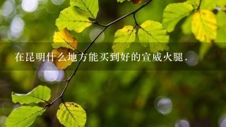 在昆明什么地方能买到好的宣威火腿. 在昆明什么地方能买到好的宣威火腿.