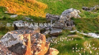 你了解宣威火腿历史吗? 你了解宣威火腿历史吗?