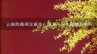 云南的曲靖宣威市,因为一只火腿驰名中外,这到底是怎么一回事? 云南的曲靖宣威市,因为一只火腿驰名中外,这到底是怎么一回事?