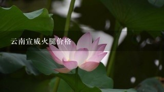 云南宣威火腿价格 云南宣威火腿价格