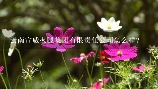 云南宣威火腿集团有限责任公司怎么样? 云南宣威火腿集团有限责任公司怎么样?