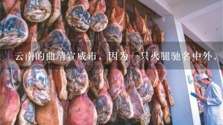 云南的曲靖宣威市,因为一只火腿驰名中外,这到底是 云南的曲靖宣威市,因为一只火腿驰名中外,这到底是
