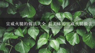 宣威火腿的做法大全 最美味的宣威火腿做法三则分享 宣威火腿的做法大全 最美味的宣威火腿做法三则分享