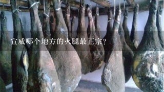 宣威哪个地方的火腿最正宗? 宣威哪个地方的火腿最正宗?