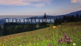 老浦家火腿和升达那家的好吃 老浦家火腿和升达那家的好吃