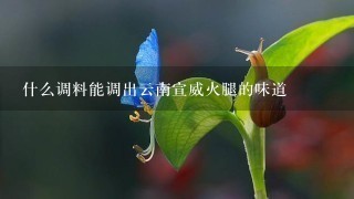 什么调料能调出云南宣威火腿的味道 什么调料能调出云南宣威火腿的味道