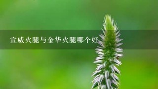 宣威火腿与金华火腿哪个好 宣威火腿与金华火腿哪个好