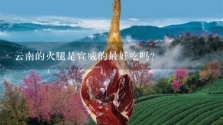 云南的火腿是宣威的最好吃吗? 云南的火腿是宣威的最好吃吗?
